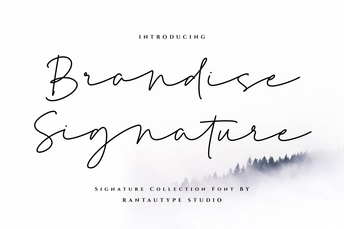 Brandise Signature Font