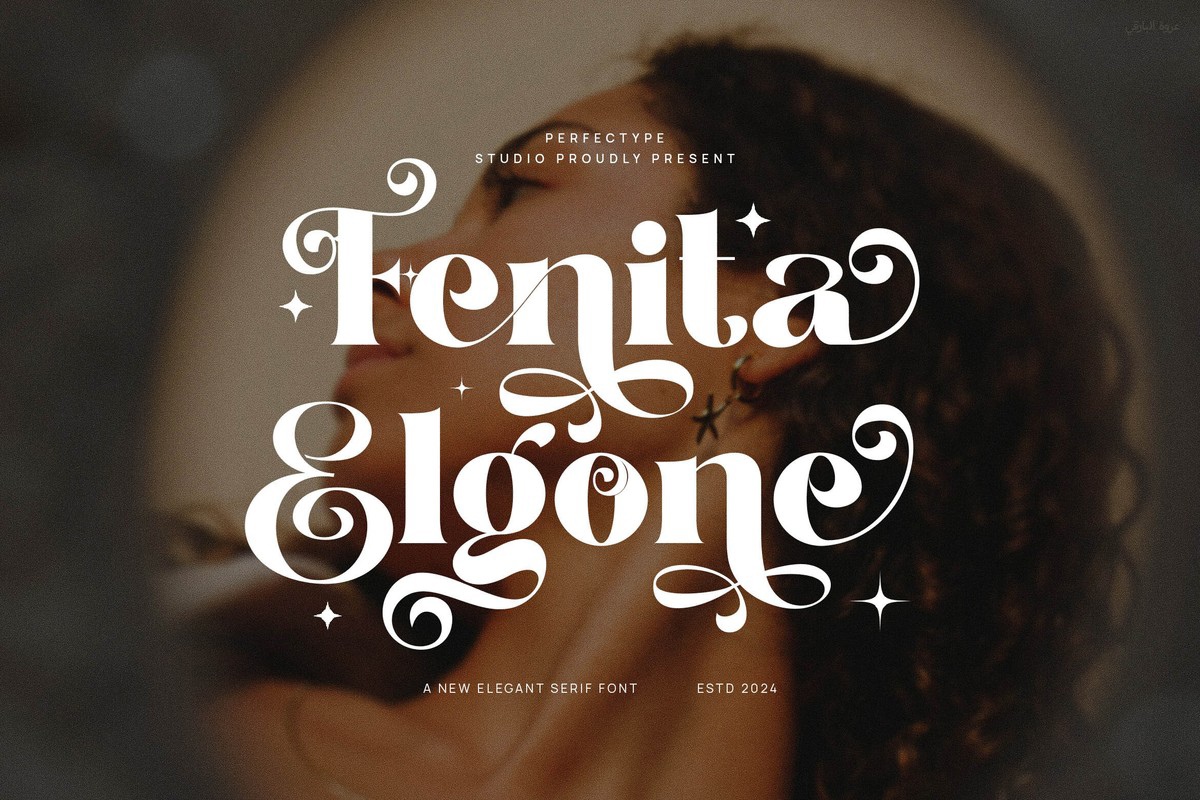 Fenita Elgone Font