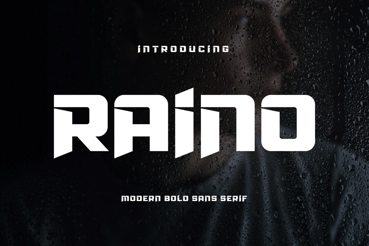 Raino Font