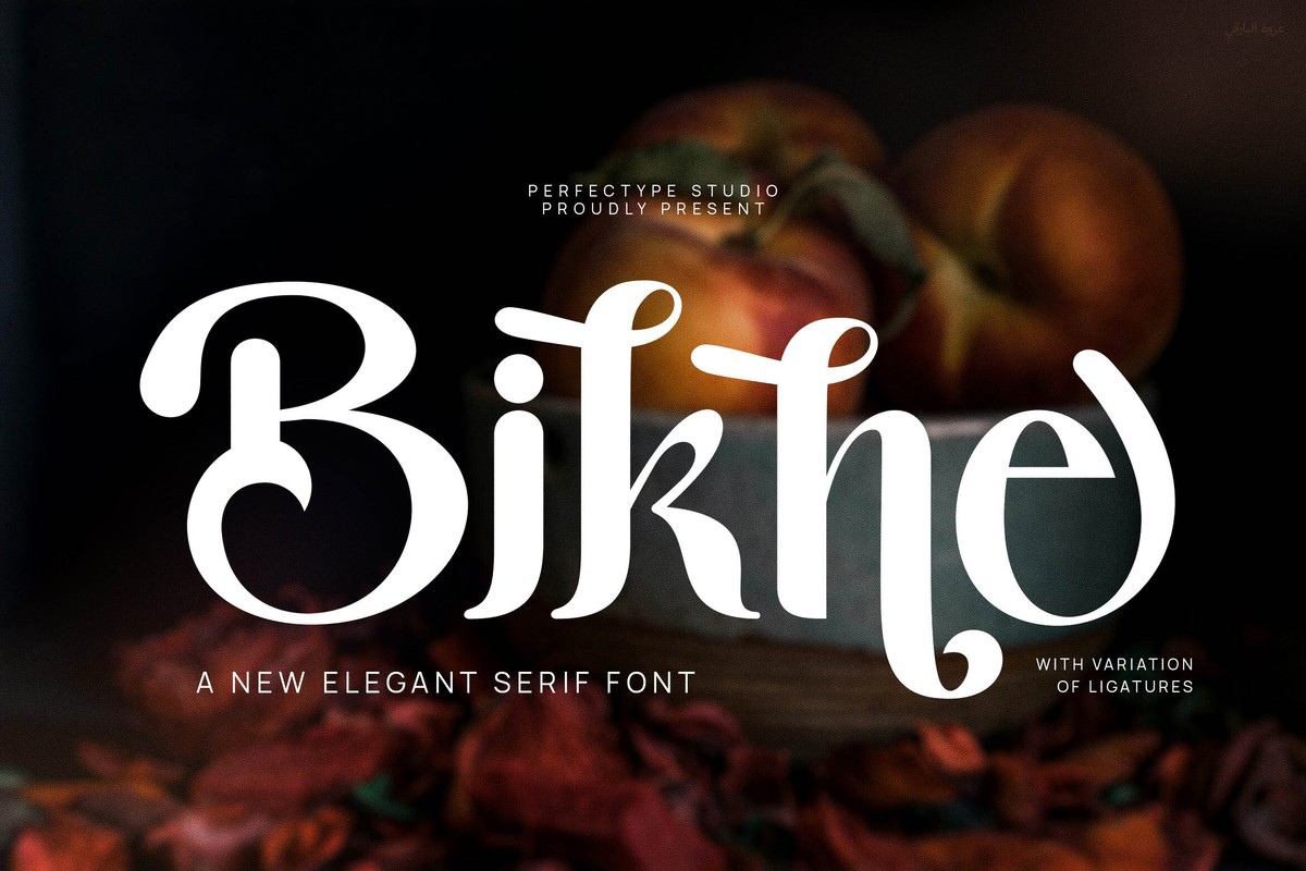 Bikne Font